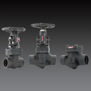Forged Steel Valves - Class 150 to 1500